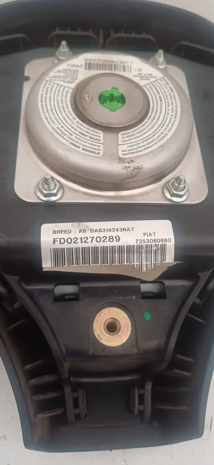 Fiat Ducato (1994 - 2001) 10314287 Подушка безопасности руля — фото 3