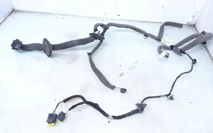 Renault Megane III (2009 - 2016) 241250055R Проводка передней двери — фото 1