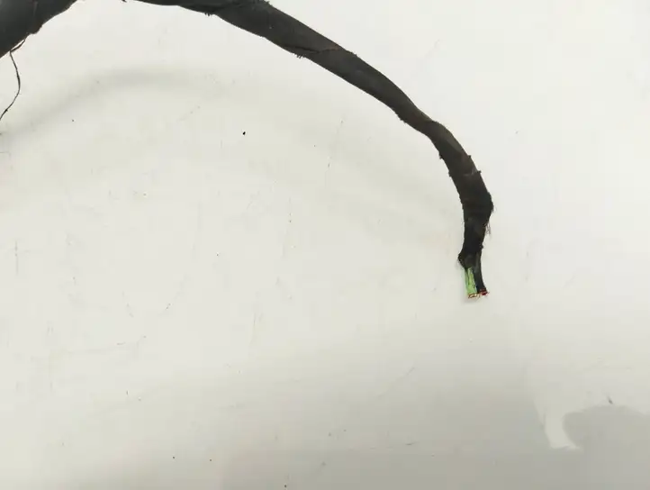 Skoda Octavia Mk2 (1Z) (2004 - 2013)  1K0927903N Передняя проводка датчика ABS