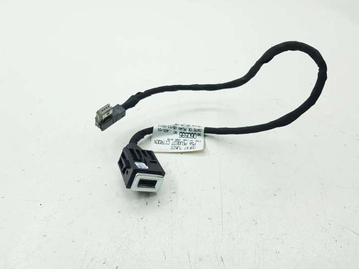 9806059580 Citroen C4 Grand Picasso USB jungtis