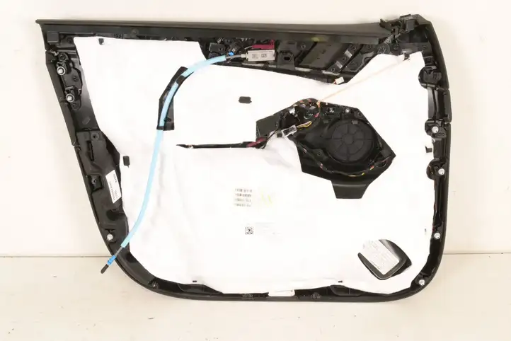 BMW X5 G05 (2018 - ) Обшивка передней двери — фото 2