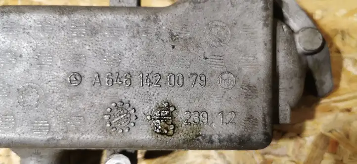 Mercedes-Benz Vito Viano W639 (2003 - 2010) A6461420079 Охладитель клапана EGR — фото 1