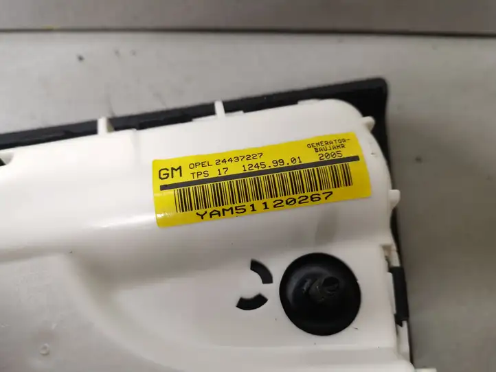 Opel Signum (2002 - 2008) 24437227 Подушка безопасности сиденья — фото 2