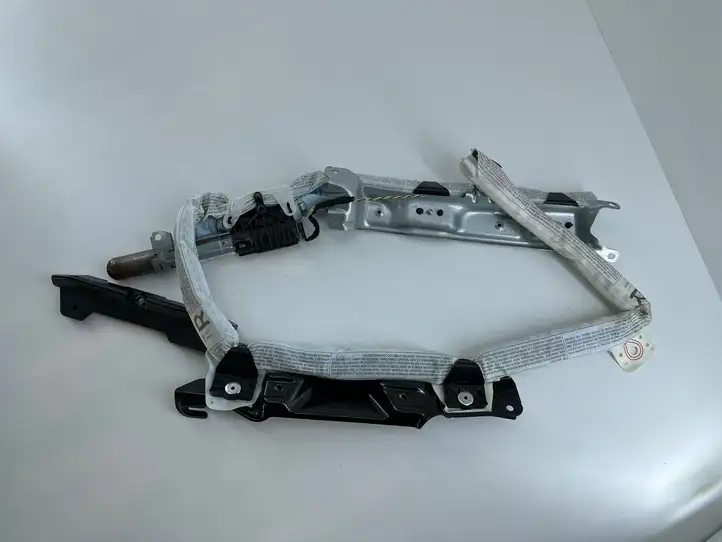 BMW X1 E84 (2009 - 2015) 85299117809P Боковая подушка безопасности шторка — фото 1
