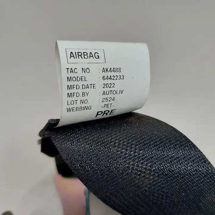 Nissan Leaf II (ZE1) (2017 - ) 638265101G Задний ремень безопасности — фото 2