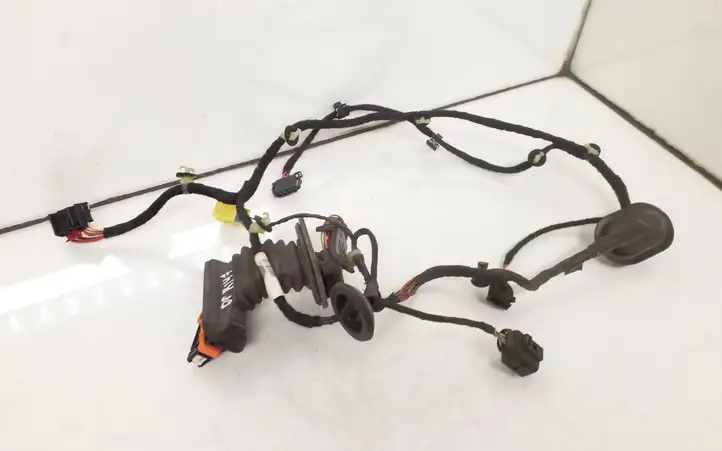 Volkswagen PASSAT B6 (2005 - 2010)  3C1971121BN Проводка передних дверей