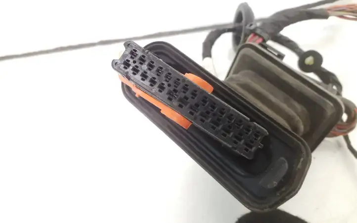 Volkswagen PASSAT B6 (2005 - 2010)  3C1971121BN Проводка передних дверей