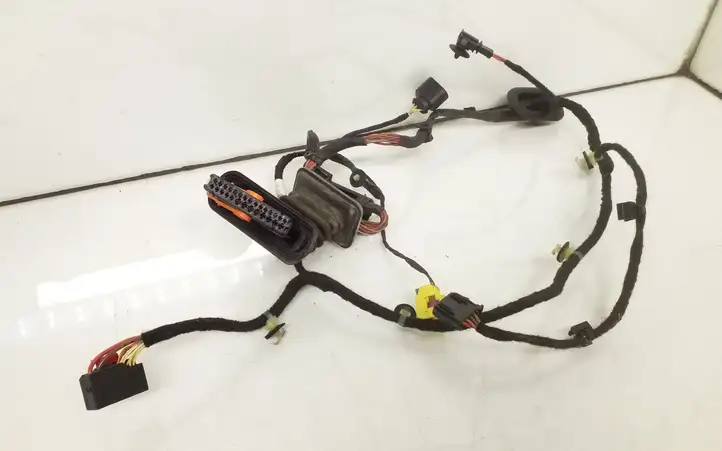 Volkswagen PASSAT B6 (2005 - 2010)  3C1971121BN Проводка передних дверей