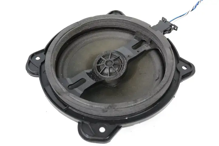 Audi A3/S3 8P (2004 - 2008) 8H0035441D Динамики задних дверей — фото 1