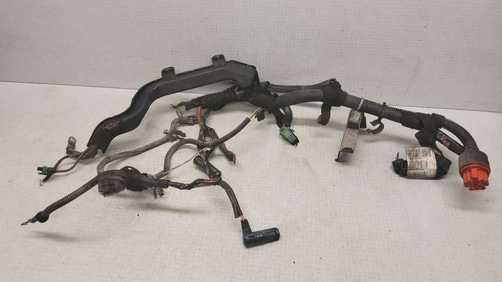Opel Zafira (1999 - 2003)  09134029 Проводка двигателя