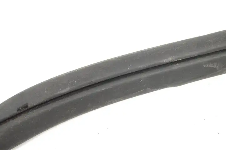 Jaguar XK - XKR (2009 - 2011) 8J150743F11 Уплотнитель передней двери — фото 4