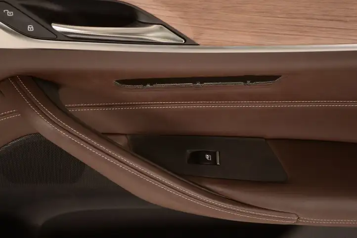 BMW 5 G30 G31 (2016 - ) Обшивка передней двери — фото 3