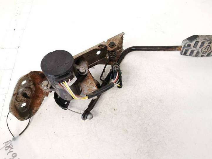 Nissan Almera Tino (2000 - 2006)  0281002425 Педаль акселератора