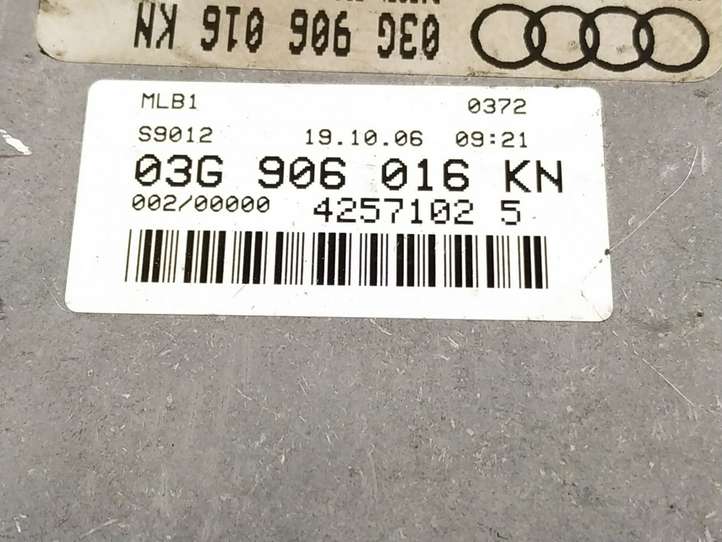Audi A4 (2004 - 2009)   Блок управления двигателя