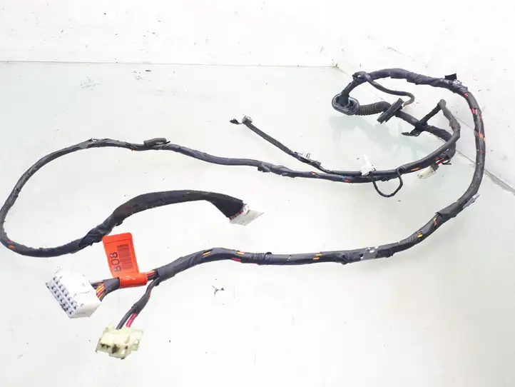 Hyundai Santa Fe (2000 - 2005)  9190026033 Проводка крышки багажника