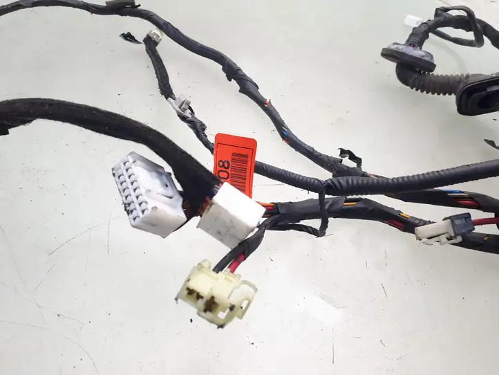 Hyundai Santa Fe (2000 - 2005)  9190026033 Проводка крышки багажника