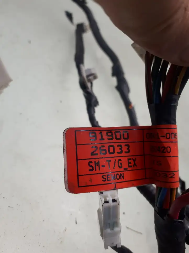 Hyundai Santa Fe (2000 - 2005)  9190026033 Проводка крышки багажника