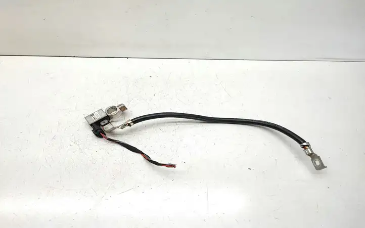 BMW X1 E84 (2009 - 2015)  7618677 Минусовый провод (аккумулятора)