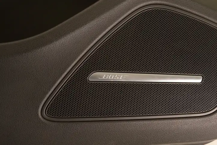 Audi A8 S8 D4 4H (2010 - 2014) Обшивка задней двери — фото 6