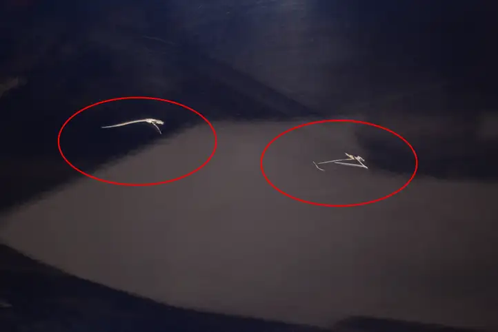 Maserati Levante (2017 - ) Дверь — фото 4