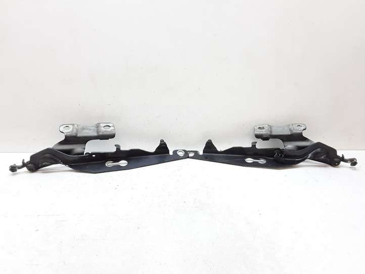 Volvo XC60 (2008 - 2013)  30779283 Петля (петли) капота