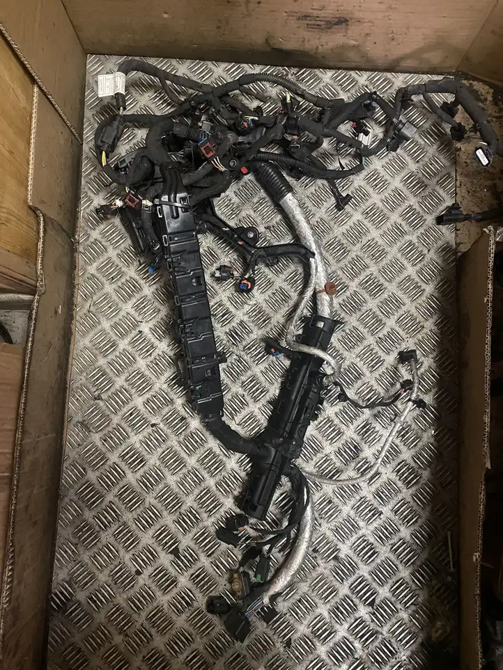 Jaguar F-Pace (2016 - )  G4D314A099A Проводка двигателя