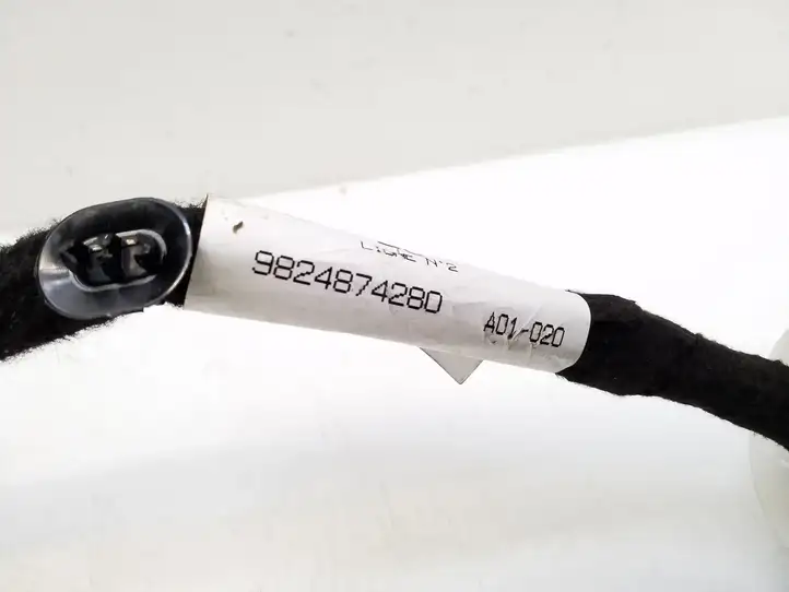 Peugeot Expert (2016 - )  9824874280 Проводка передних дверей