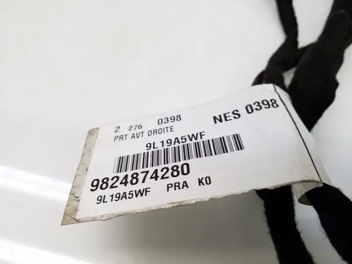 Peugeot Expert (2016 - )  9824874280 Проводка передних дверей