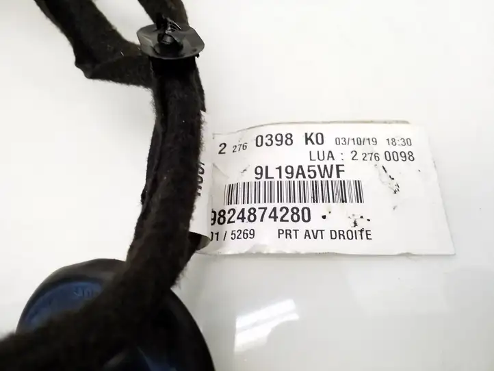 Peugeot Expert (2016 - )  9824874280 Проводка передних дверей