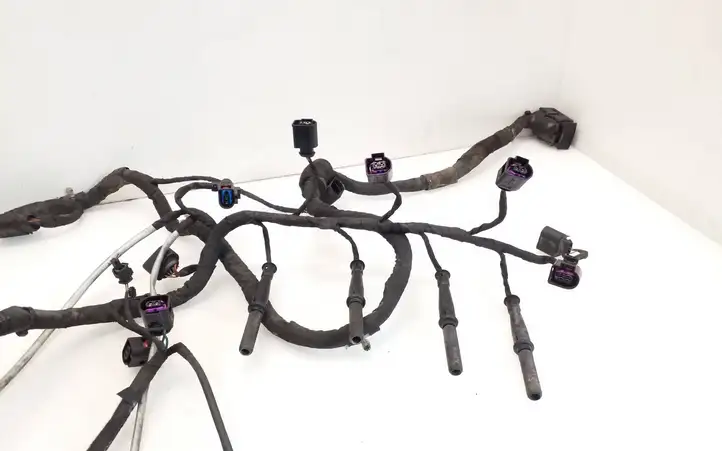 Skoda Octavia Mk2 (1Z) (2004 - 2013)   Проводка двигателя