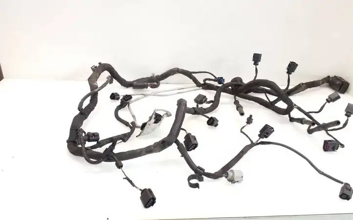 Skoda Octavia Mk2 (1Z) (2004 - 2013)   Проводка двигателя