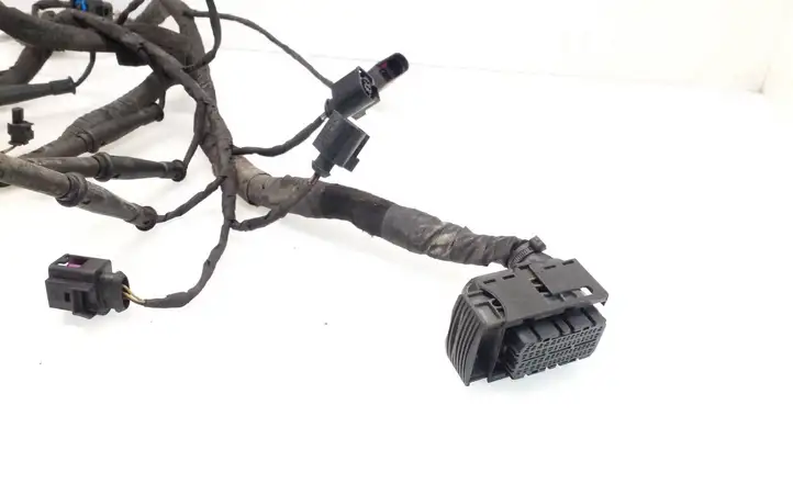 Skoda Octavia Mk2 (1Z) (2004 - 2013)   Проводка двигателя