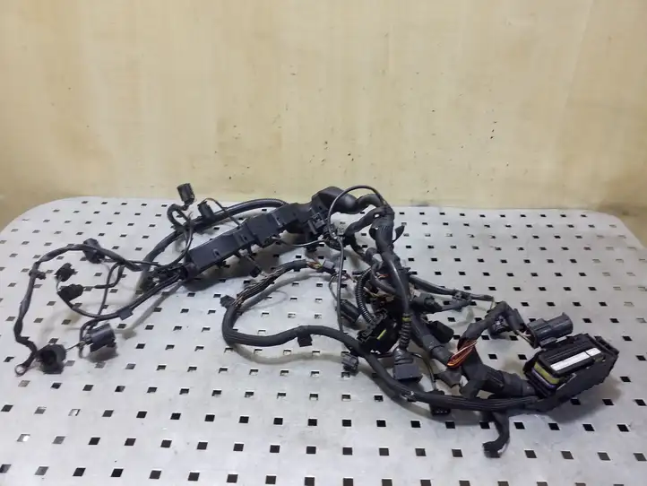 Mini Cooper Countryman R60 (2010 - 2016) 782370606 Проводка двигателя — фото 1
