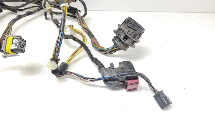 Opel Meriva (2002 - 2006)  13154301 Проводка передних дверей