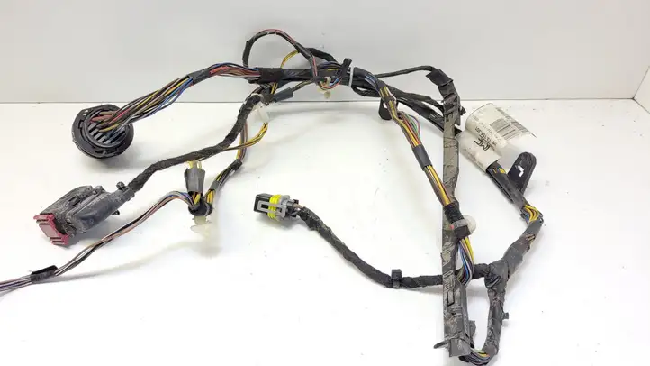 Opel Meriva (2002 - 2006)  13154301 Проводка передних дверей