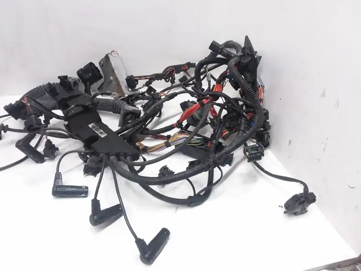 BMW 3 E90 E91 (2005 - 2012) 7791710 Проводка двигателя — фото 1