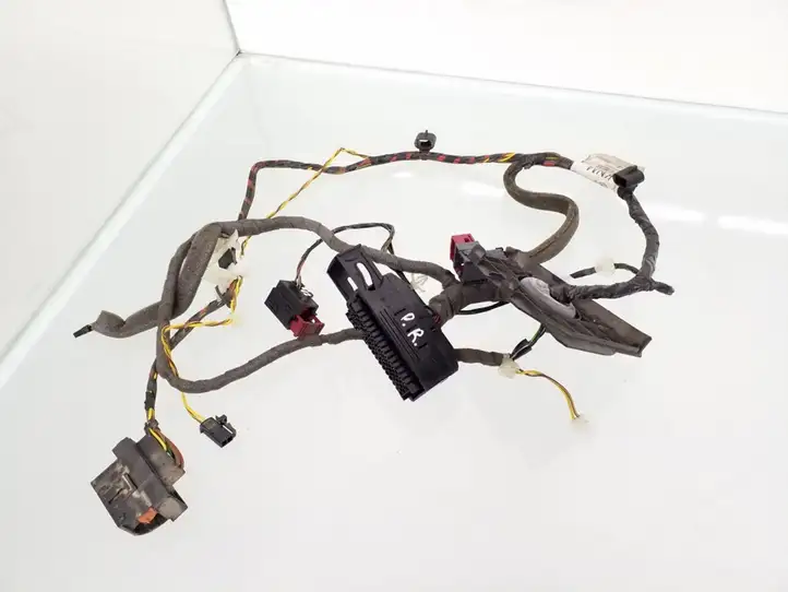 Opel Signum (2002 - 2008)  13170508 Проводка передних дверей