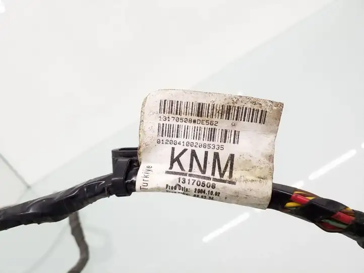 Opel Signum (2002 - 2008)  13170508 Проводка передних дверей