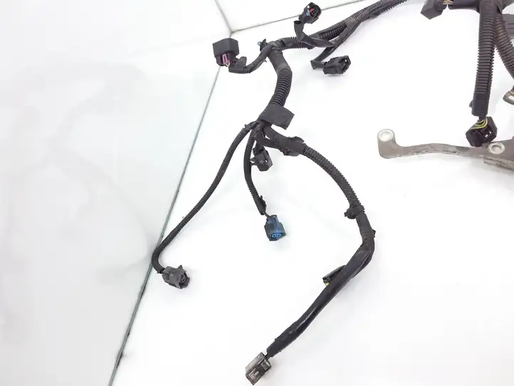 Subaru Forester SH (2008 - 2013)   Проводка двигателя