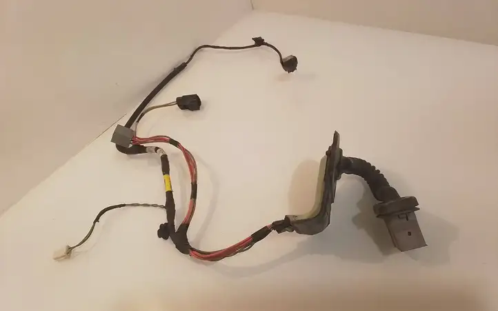 Dodge Caliber (2006 - 2012)  71844230 Проводка передних дверей