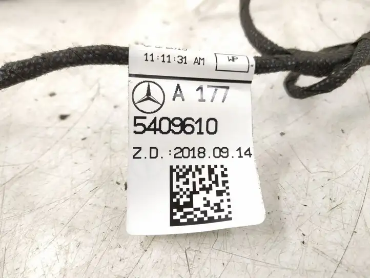 Mercedes-Benz CLA C117,X117,W117 (2013 - 2019) 1775409610 Проводка передней двери — фото 2