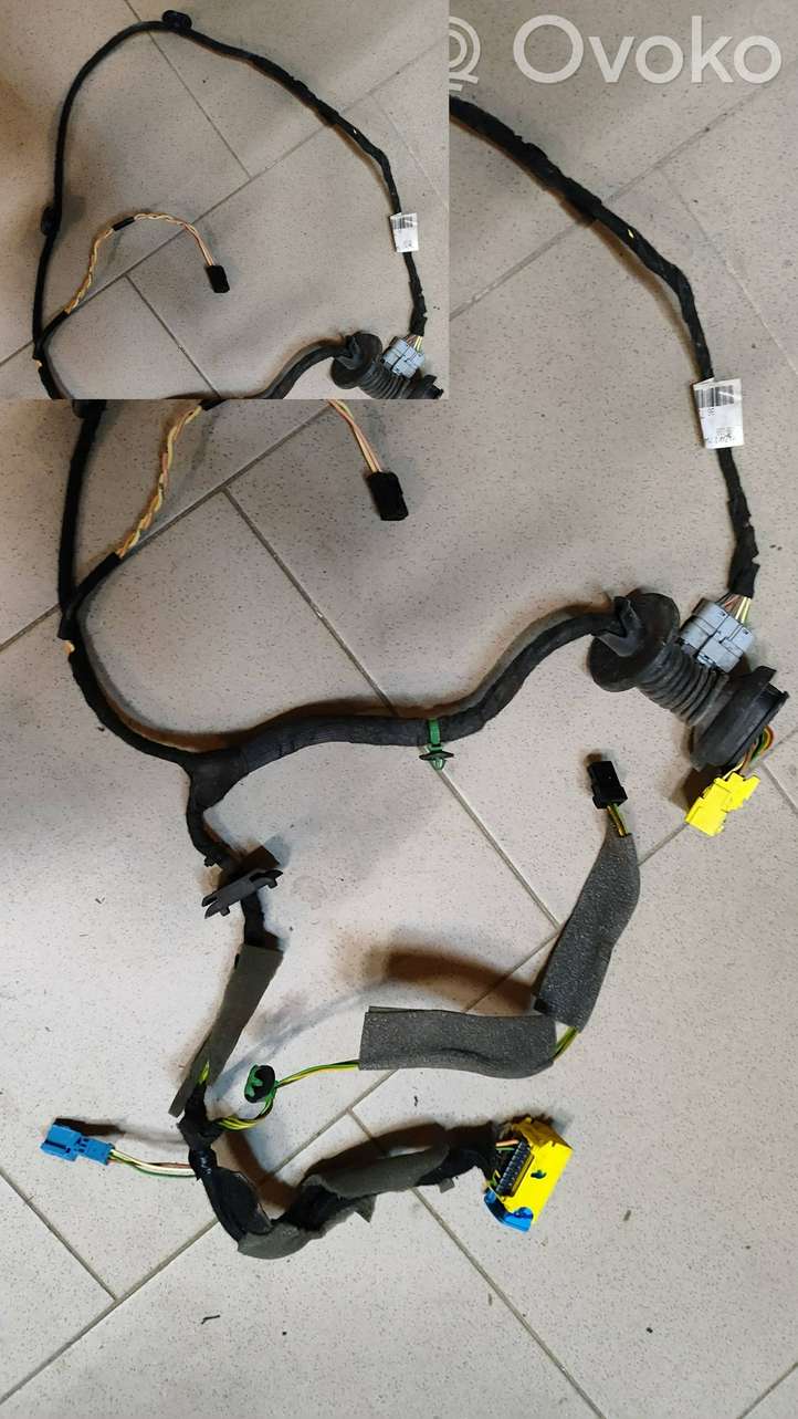 Citroen C4 Picasso (2006 - 2013)  9672487180 Проводка передних дверей