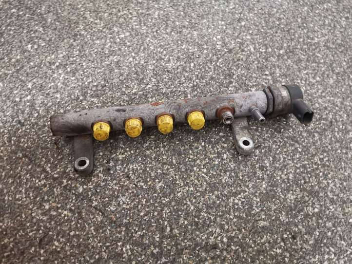 Land Rover Freelander (2006 - 2010)  0281002803 Магистральная трубка топлива