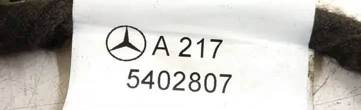 Mercedes-Benz S C217 (2015 - 2020) Проводка передней двери — фото 4