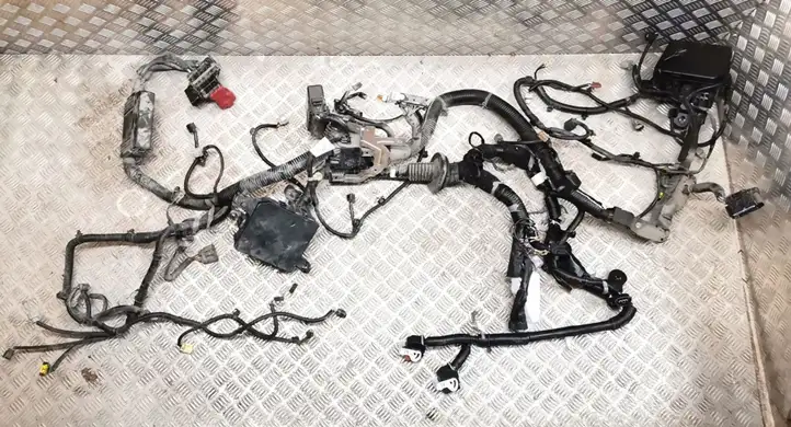 Nissan Leaf I (ZE0) (2010 - 2017) 240123NL0B Проводка двигателя — фото 1