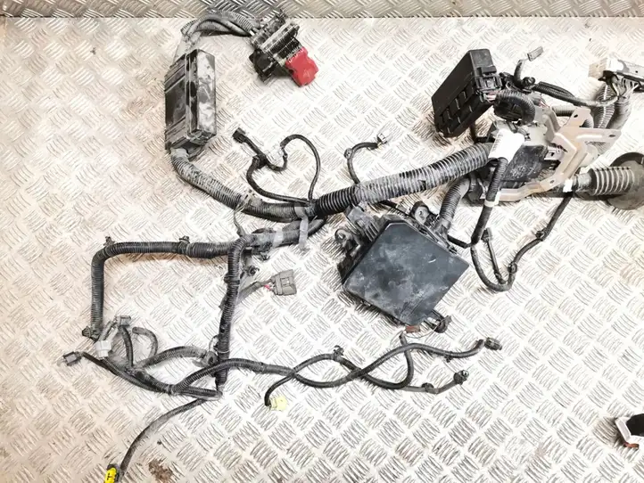 Nissan Leaf I (ZE0) (2010 - 2017) 240123NL0B Проводка двигателя — фото 3