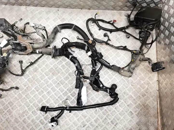 Nissan Leaf I (ZE0) (2010 - 2017) 240123NL0B Проводка двигателя — фото 4