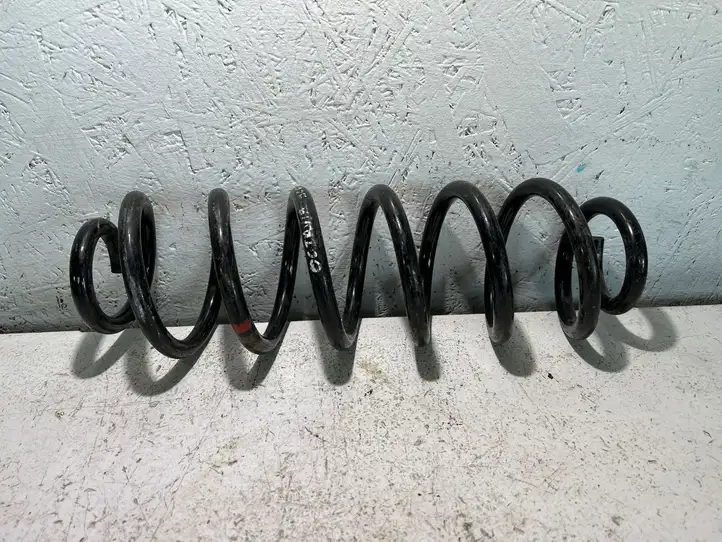 Skoda Octavia Mk2 (1Z) (2004 - 2013)   Пружина