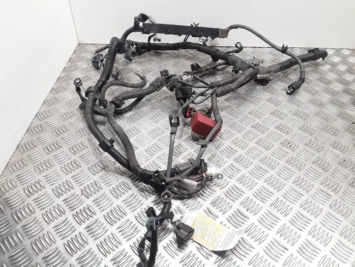 Toyota Corolla Verso E121 (2004 - 2007)  821210F010 Проводка двигателя