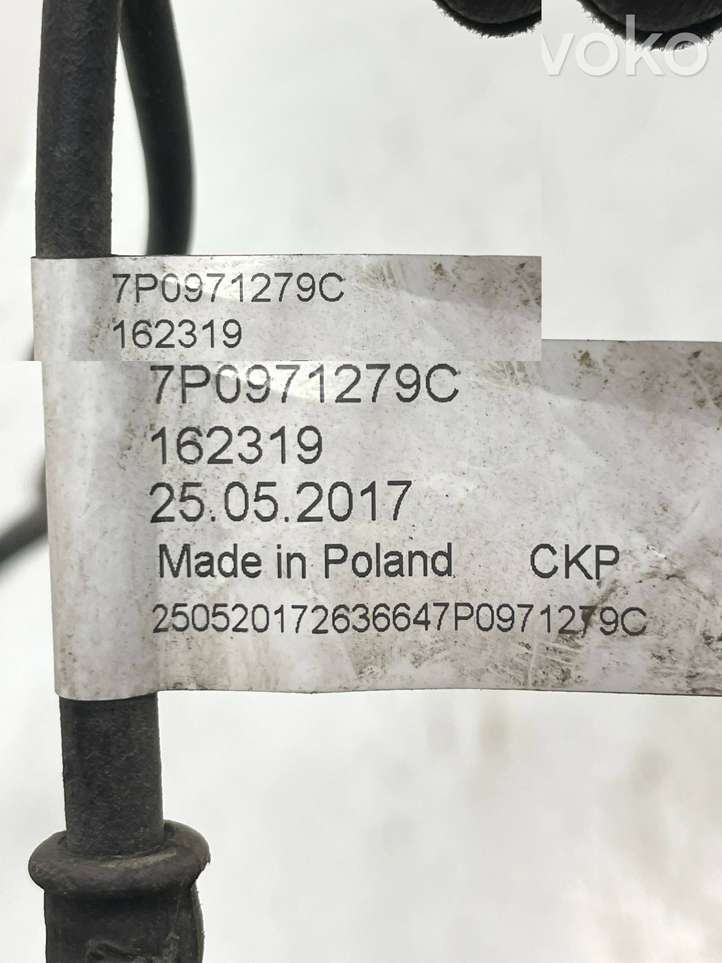 Porsche Cayenne (92A) (2011 - 2017)  7P0971279C Другой проводник
